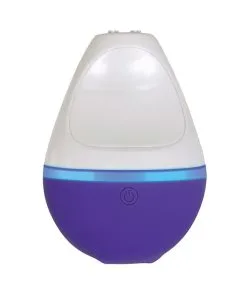 Evolved Tiny Dancer Rechargeable Bullet