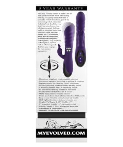 Alternative view of Evolved Rascally Rabbit - Purple